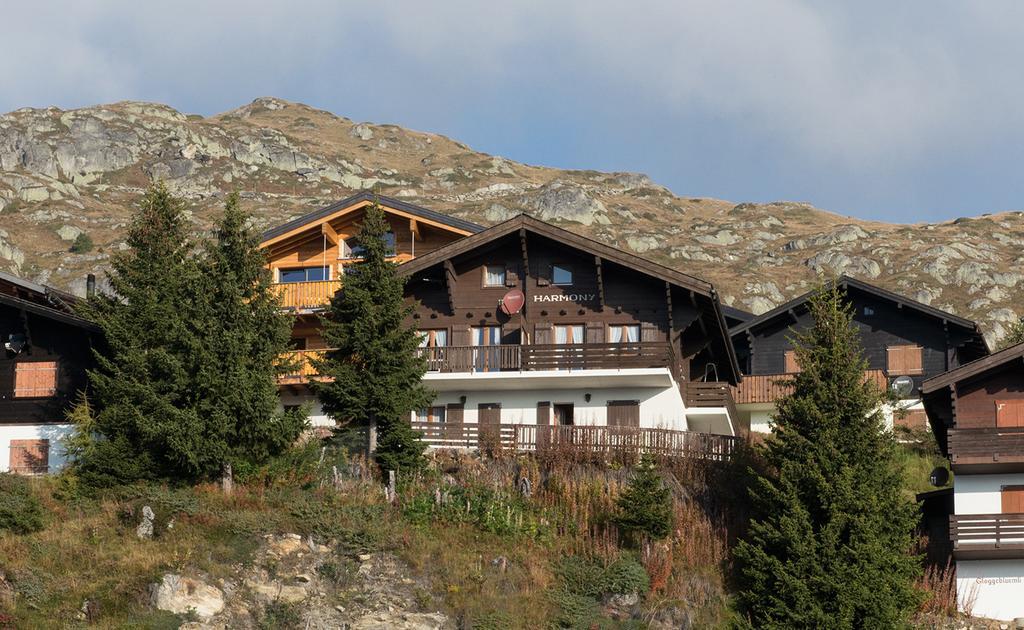 Apartament Harmony EG Süd-Ost Bettmeralp Zewnętrze zdjęcie