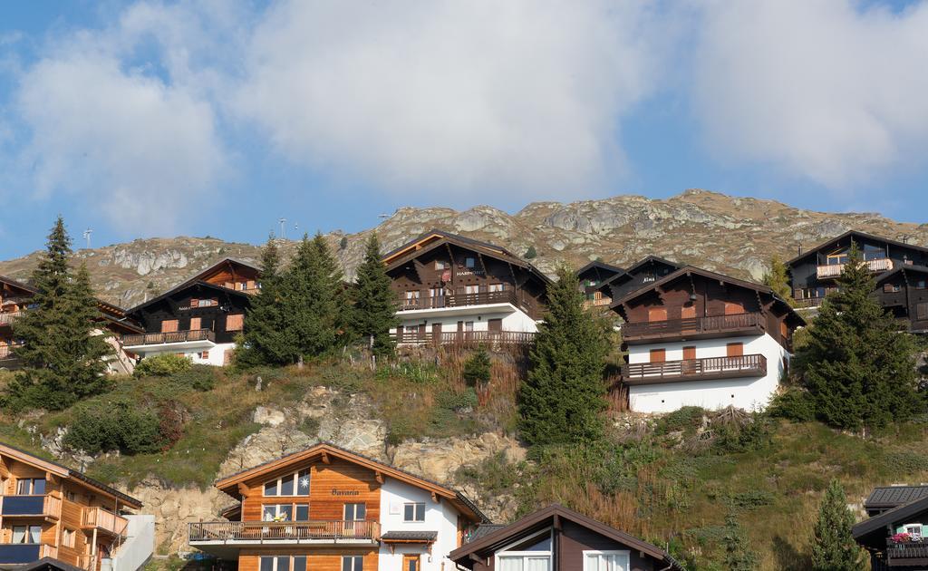 Apartament Harmony EG Süd-Ost Bettmeralp Zewnętrze zdjęcie