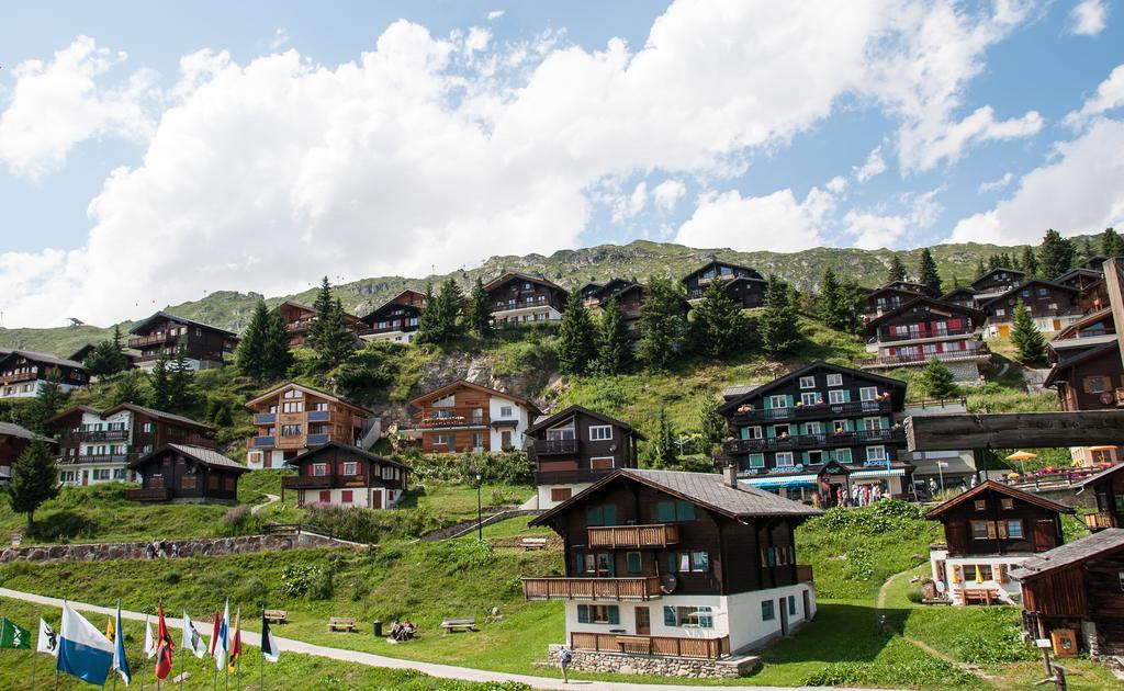 Apartament Harmony EG Süd-Ost Bettmeralp Zewnętrze zdjęcie